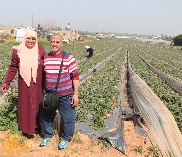 a7bab aqsa farawla (10).JPG